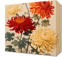 Obraz 30x30cm Tańczące Chryzantemy