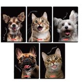 Zesz Her Crazy Animal A5 60K 70G L9