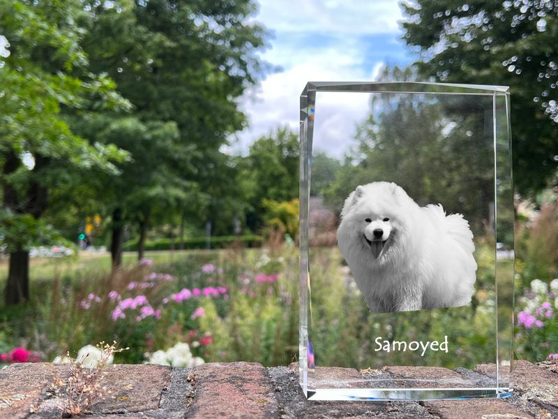Samojed kryształ z psem Art-Dog zdjęcie 2