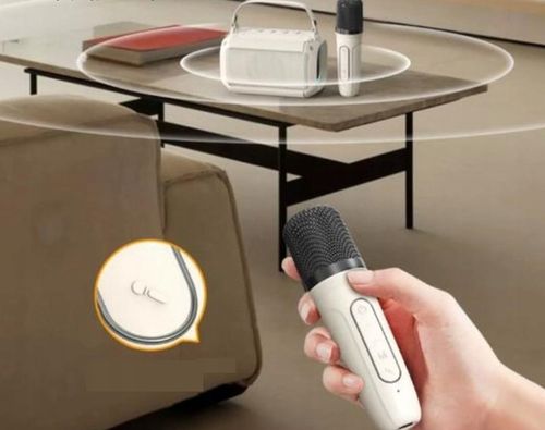 MINI BEZPRZEWODOWY GŁOŚNIK BLUETOOTH + KARAOKE 2 MIKROFONY LED DLA DZIECKA na Arena.pl