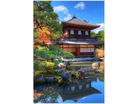 100 70CM OBRAZ PŁÓTNO KOLOROWY OGRÓD PŁÓTNO RAMA