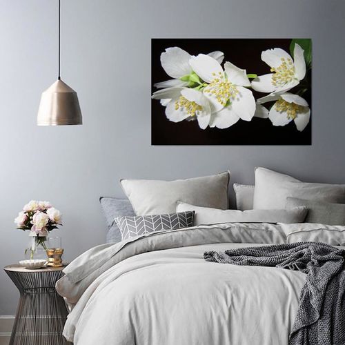 Obraz na płótnie - Canvas, Jaśmin 50x40 na Arena.pl