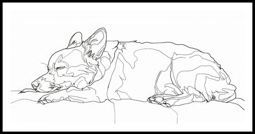 Plakat 91,3x44,5cm Śpiący Psiak na Arena.pl