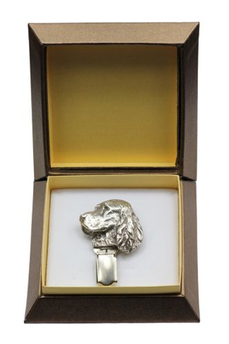 Spaniel Angielski Springer - klips - 2561 na Arena.pl