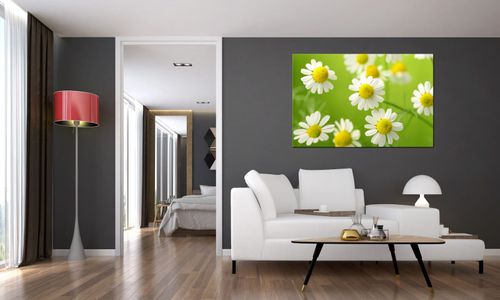 Obraz Do Kuchni 120X80 Rumianek na Arena.pl