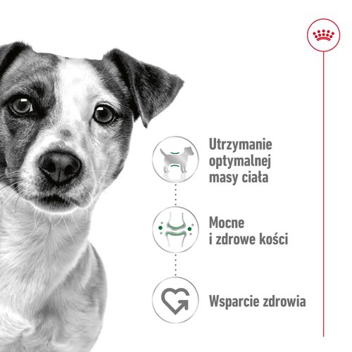 royal canin mini adult 4kg na Arena.pl
