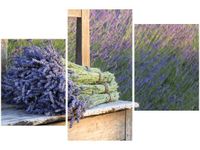 product-compare-58700045