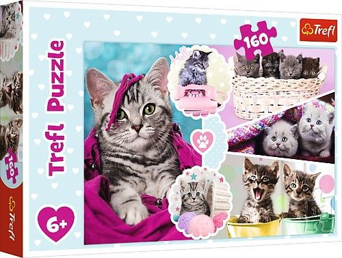 PUZZLE 160 UROCZE KOTKI 15371 na Arena.pl