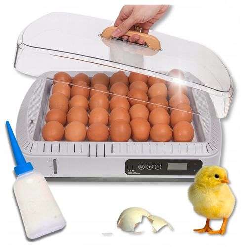 Inkubator Automatyczny do wylęgu 35 jaj Wylęgarka Klujnik do wylęgu Drobiu na Arena.pl