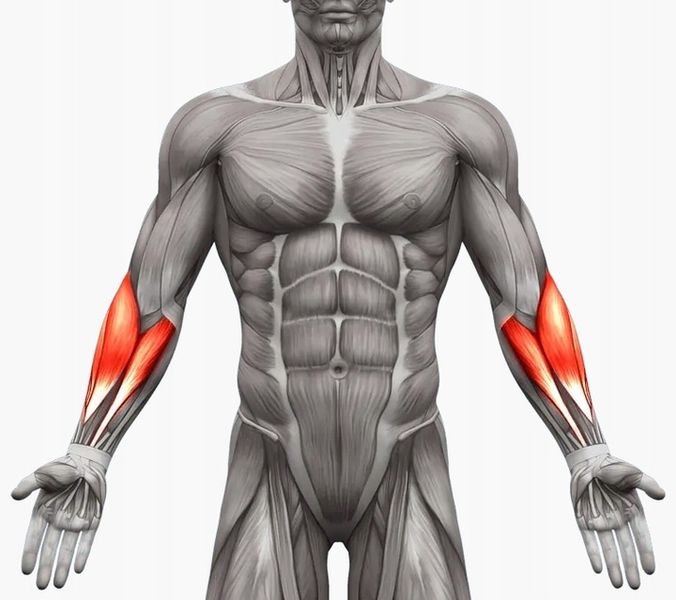 ŚCISKACZ DO RĄK DŁONI Z REGULACJĄ 10-100kg zdjęcie 5