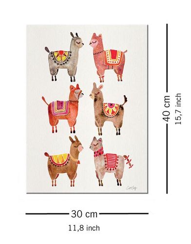 Alpacas - Obraz na płótnie 30x40 cm na Arena.pl