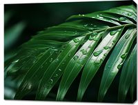 product-compare-59468072