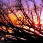 thumbnail-4
