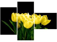 100CM 80 OBRAZ 3 ELEM ŻÓŁTE TULIPANY- MARK FREETH ŚCIENNY
