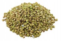 Kasza Gryczana Niepalona Biała 5kg Super jakość BAFRA POLSKA