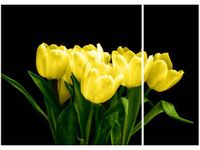 70X50CM ŻÓŁTE TULIPANY[*] DWU OBRAZ NIESYMETRYCZNY MARK FREETH DWÓJ OBRAZ Ś