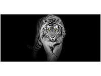 OBRAZ TIGER IN THE DARK