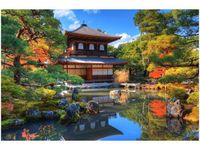 60X40CM KOLOROWY OGRÓD OBRAZ