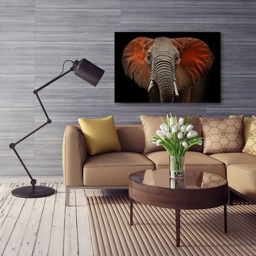Obraz na płótnie - Canvas, Słoń 1 50x40 na Arena.pl