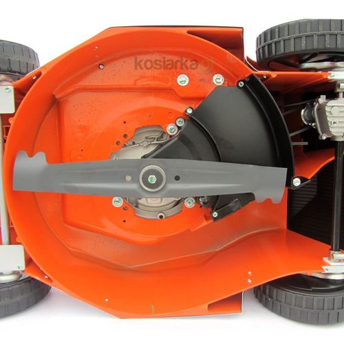 Oleo-Mac LUX 55 TBD na Arena.pl