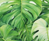 Plakat 60x50cm Tajemnice Liści