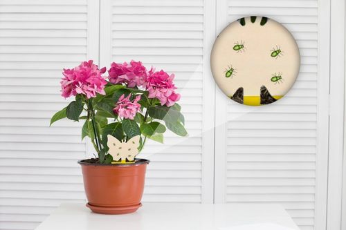 KLEISTE ARKUSZE LEP NA MSZYCE WCIORNIASTKI MĄCZNIAKI MUCHY INNE SZKODNIKI na Arena.pl