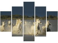 105CM 150CM OBRAZ 5 ELEM BIAŁE DZIKIE KONIE DRUK