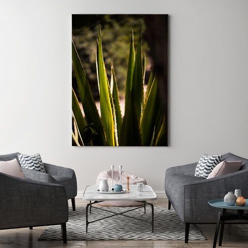 Obraz na płótnie – Canvas, Kaktus liście 40x60 na Arena.pl