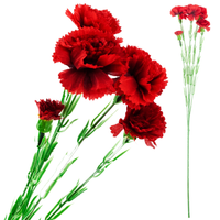 Goździki Gałązka, Bukiet Goździków, Sztuczne Kwiaty, Realistyczne, Czerwony