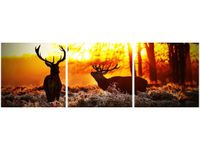 90 80CM OBRAZ T3 ELEM RYKOWISKO DRUK ŚCIENNY