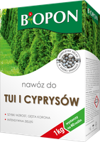nawóz do tui i cyprusów granulat 1kg