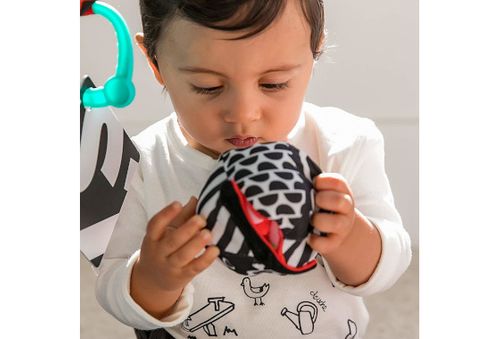 DUMEL 113985 Baby Einstein Mata na Arena.pl