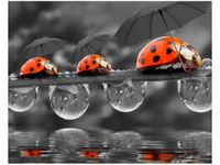 40X50CM SPACEREK OBRAZ