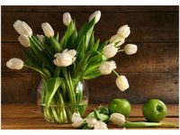 OBRAZ DRUK BUKIET JASNYCH TULIPANÓW KWIATY