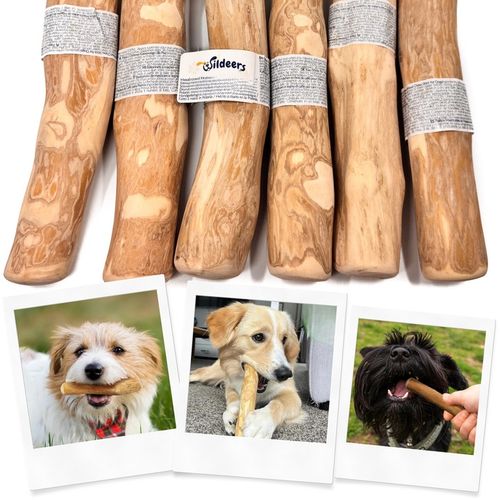 PATYK Z DRZEWA KAWOWEGO M NATURALNY KAWOWY GRYZAK DLA PSA WYTRZYMAŁY ŚREDNI na Arena.pl