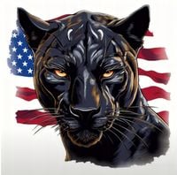 Termo Naklejka na Koszulkę T-Shirt Torebkę DIY Czarna Pantera Flaga USA Big