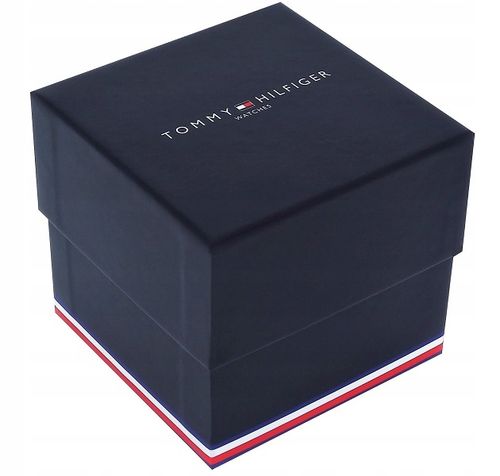 Zegarek męski Tommy Hilfiger 1791720 na Arena.pl
