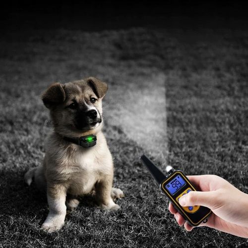 ELEKTRYCZNA OBROŻA DLA PSA TRENINGOWA 800M PILOT na Arena.pl