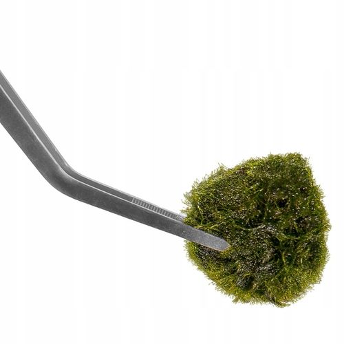 PĘSETA DO AKWARIUM DŁUGA ZAGIĘTY KONIEC 48cm na Arena.pl