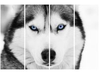 120CM 80 OBRAZ 4 ELEM WŁADCZE SPOJRZENIE ŚCIENNY