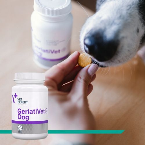 Preparat witaminy dla starszych psów Vet Expert Geriativet Dog 45 tabletek na Arena.pl