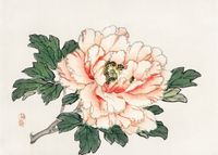 Plakat 70x50cm Pink Rose,  Kōno Bairei Japoński Vintage do Salonu