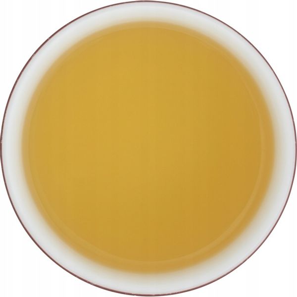 Herbata zielona Basilur Sencha Classics Ceylon - 100 x 1,5 g zdjęcie 11