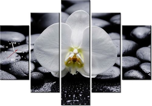 105CM 150CM ZEGAR 5 ELEM BIAŁY STORCZYK DRUK OBRAZ na Arena.pl