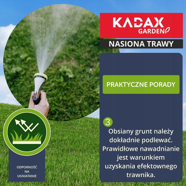 TRAWA OZDOBNA TRAWNIK SAMOZAGĘSZCZAJĄCA 10 KG zdjęcie 6