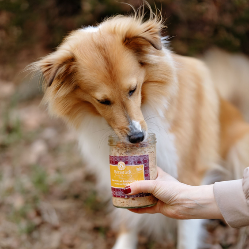 Zestaw karm mokrych dla psa 6×200 g dla alergika, lekkostrawna na Arena.pl