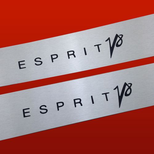 Listwa progowa LOTUS ESPRIT V8 Stal nierdzewna 304 mat 2szt na Arena.pl