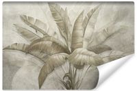 Fototapeta Do Sypialni TROPIKALNE Liście Natura Rośliny Beton 450cm x 300cm