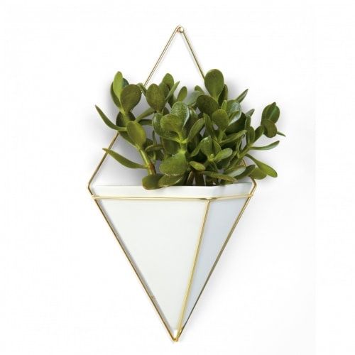 Doniczka ścienna Trigg Brass MICROUSBCABLE1 na Arena.pl