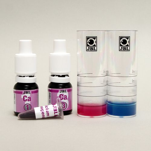 JBL Test Ca na Arena.pl